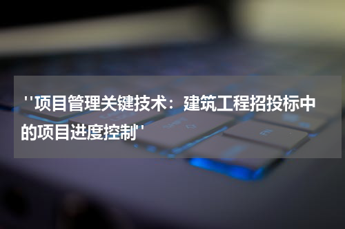 "项目管理关键技术:建筑工程招投标中的项目进度控制"