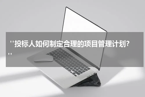 "投标人如何制定合理的项目管理计划?"