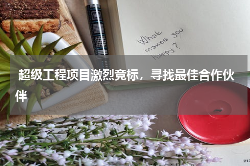  超级工程项目激烈竞标，寻找最佳合作伙伴