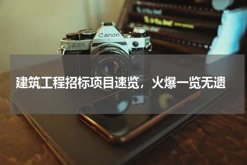  建筑工程招标项目速览，火爆一览无遗