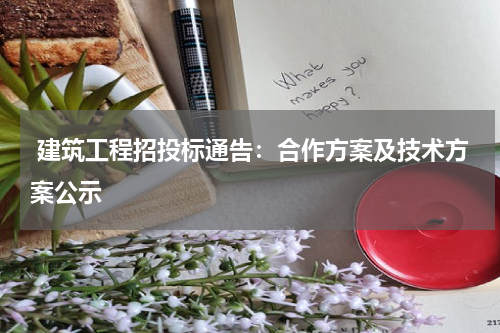  建筑工程招投标通告：合作方案及技术方案公示
