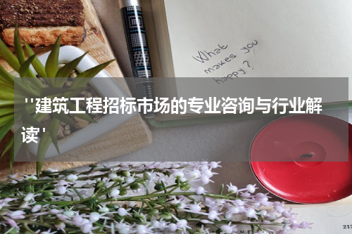 "建筑工程招标市场的专业咨询与行业解读"