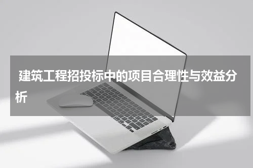  建筑工程招投标中的项目合理性与效益分析
