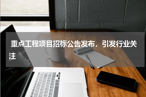  重点工程项目招标公告发布，引发行业关注