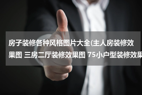 房子装修各种风格图片大全(主人房装修效果图 三房二厅装修效果图 75小户型装修效果图)