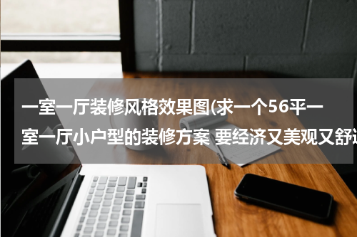 一室一厅装修风格效果图(求一个56平一室一厅小户型的装修方案 要经济又美观又舒适的哦)