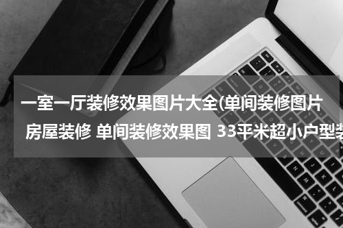 一室一厅装修效果图片大全(单间装修图片 房屋装修 单间装修效果图 33平米超小户型装修图片)