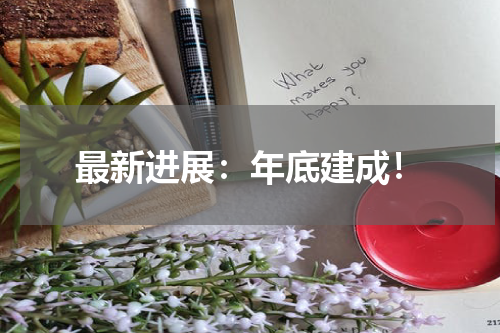 最新进展：年底建成！