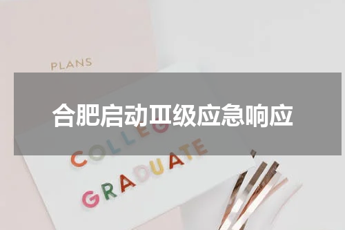 合肥启动Ⅲ级应急响应