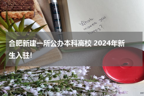 合肥新建一所公办本科高校 2024年新生入驻!