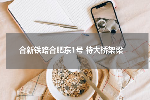 合新铁路合肥东1号 特大桥架梁