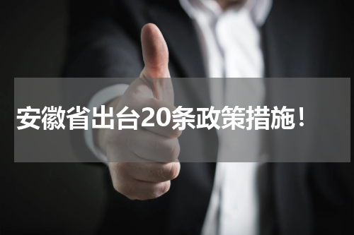 安徽省出台20条政策措施！
