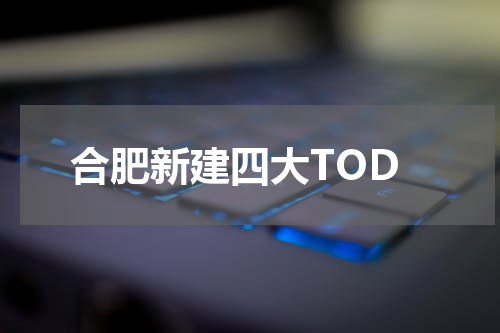 合肥新建四大TOD
