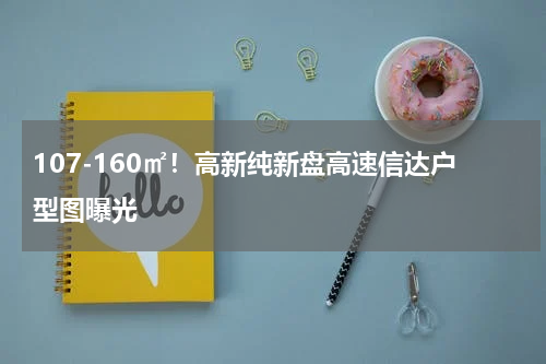 107-160㎡！高新纯新盘高速信达户型图曝光