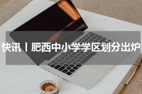 快讯丨肥西中小学学区划分出炉