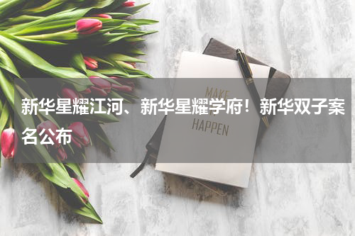 新华星耀江河、新华星耀学府！新华双子案名公布