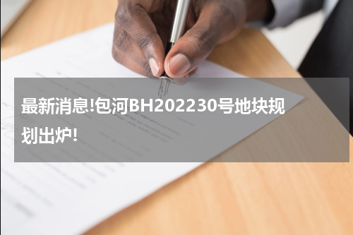 最新消息!包河BH202230号地块规划出炉!
