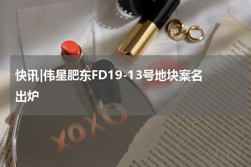 快讯|伟星肥东FD19-13号地块案名出炉