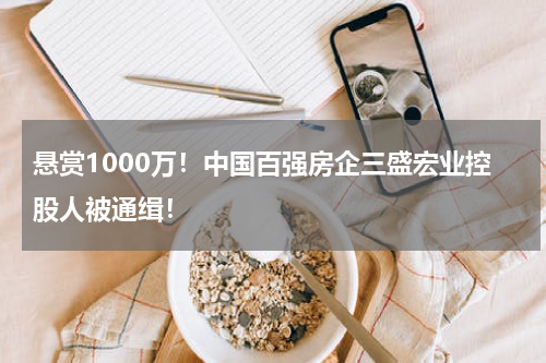 悬赏1000万！中国百强房企三盛宏业控股人被通缉！