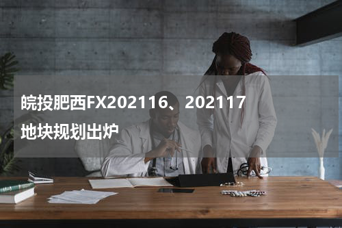皖投肥西FX202116、202117地块规划出炉