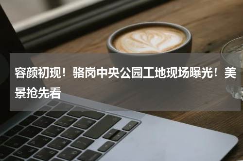 容颜初现！骆岗中央公园工地现场曝光！美景抢先看