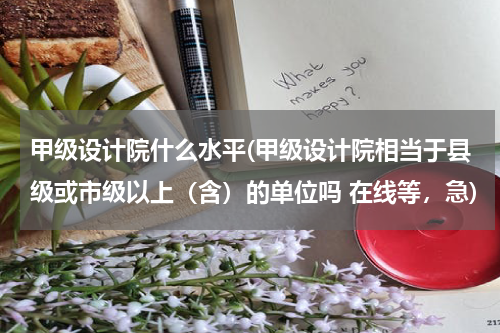 甲级设计院什么水平(甲级设计院相当于县级或市级以上（含）的单位吗 在线等，急)
